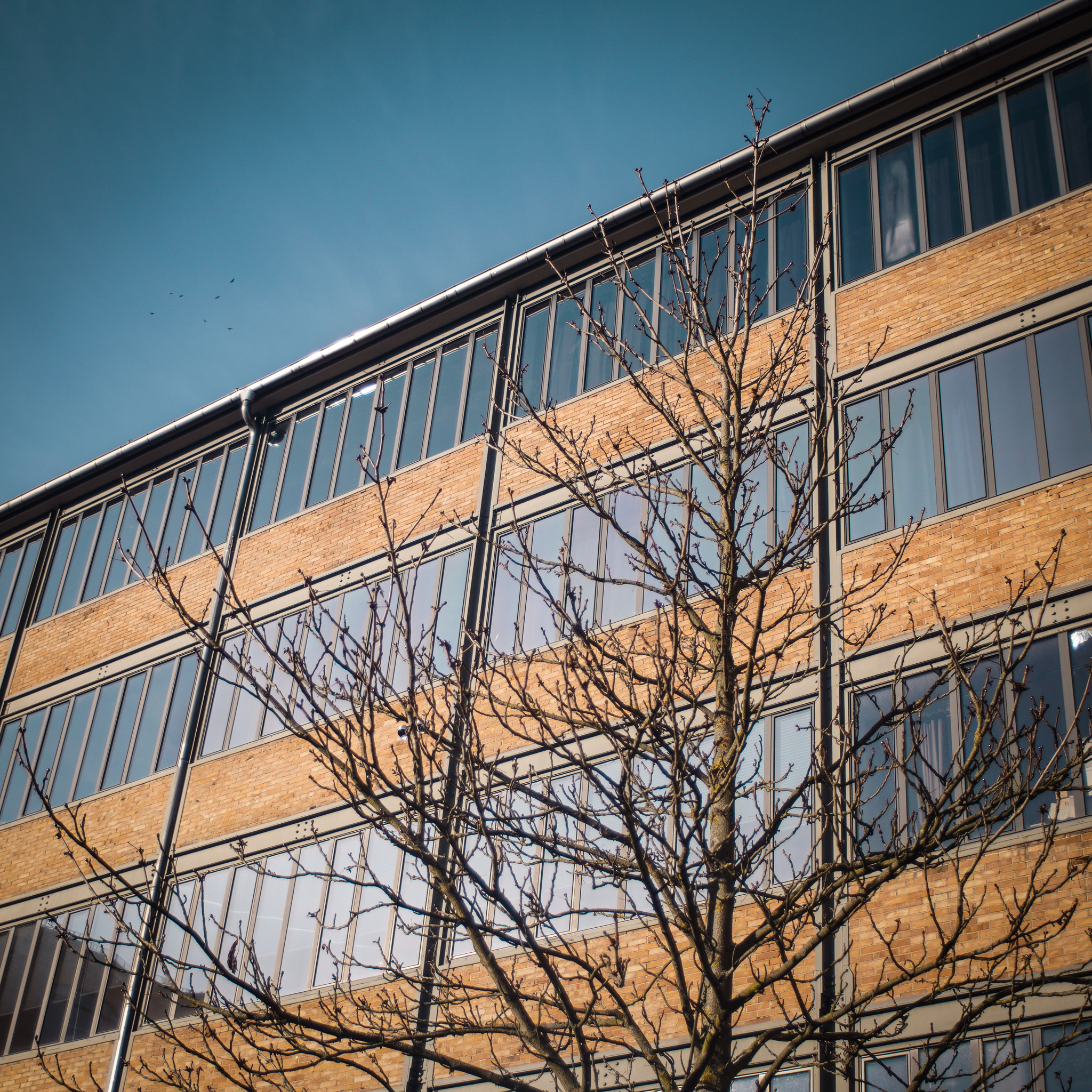 Femcom_Gewerbepark-Pankow